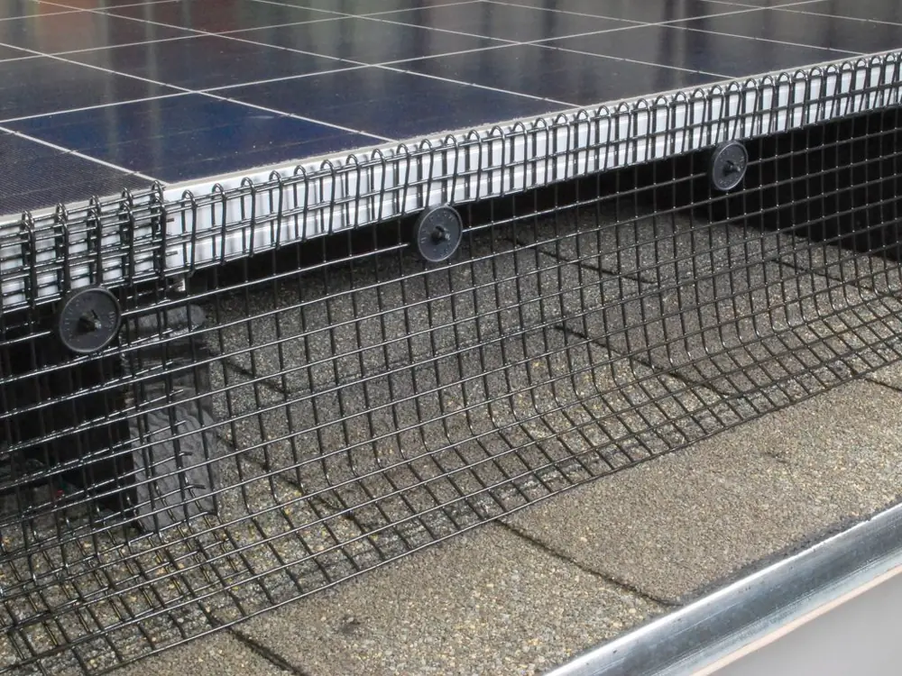 Bird proofing mesh fitted around solar panels, as we install in Johannesburg