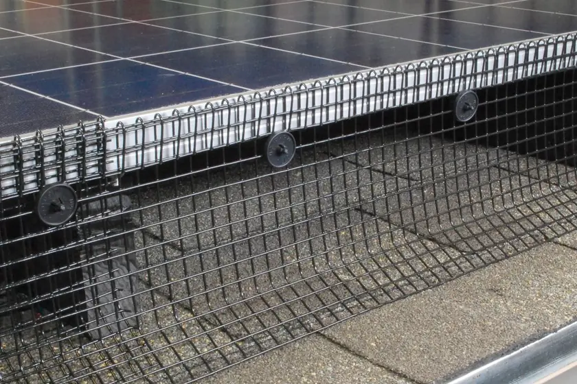 Bird proofing mesh fitted around solar panels, as we install in Johannesburg
